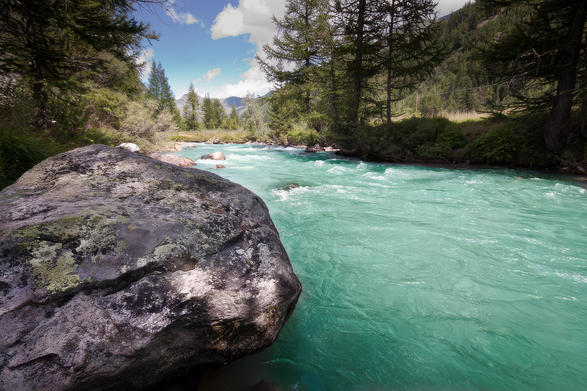fly-fishing-sesia