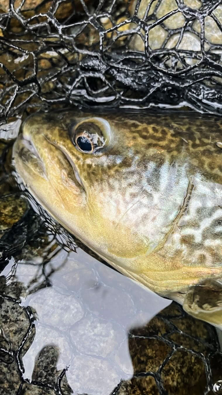 Andrea-Carando-Fishing-Guide
