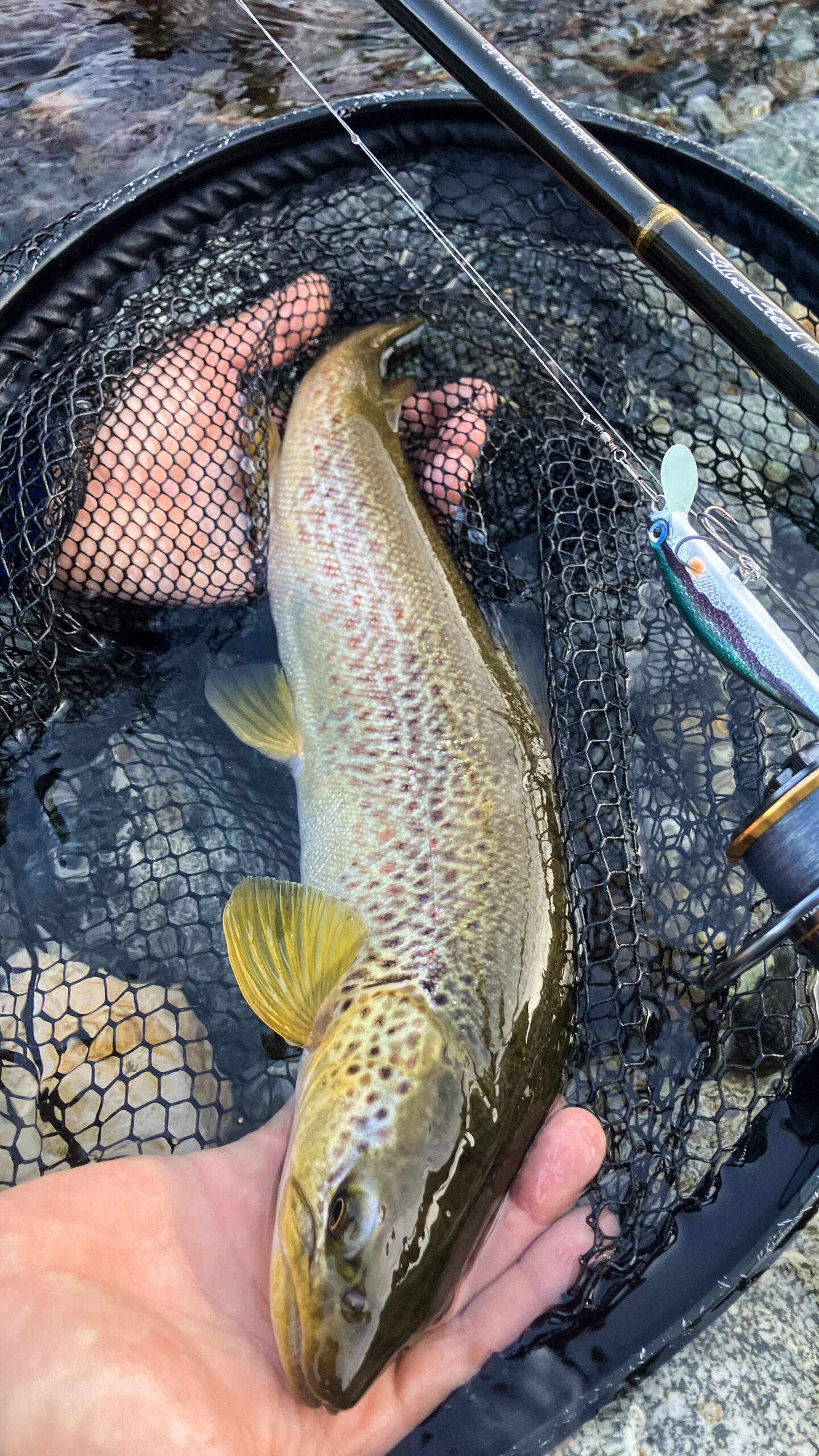 andrea-carando-guide-fishing