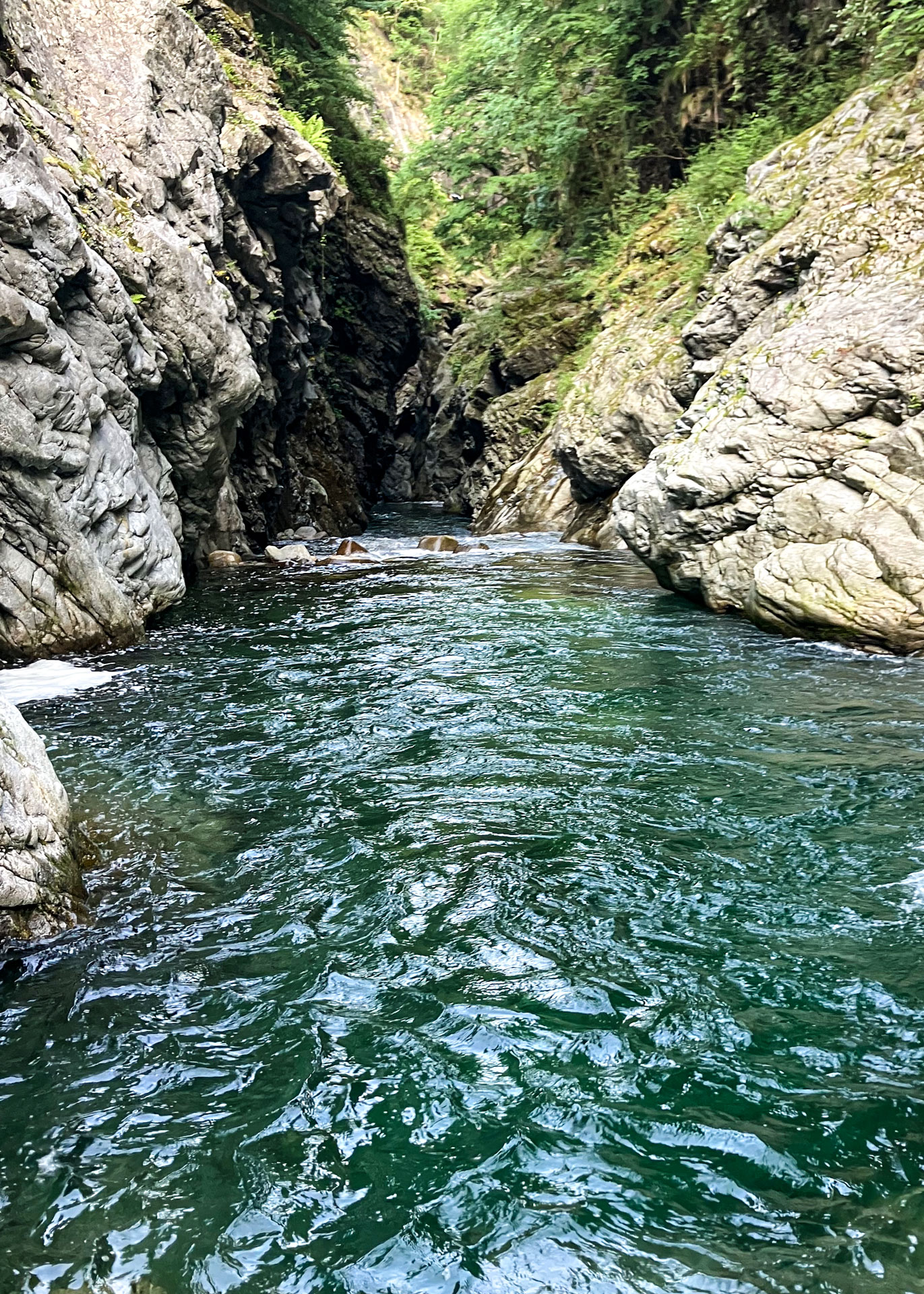 torrente-pesca-mosca-piemonte